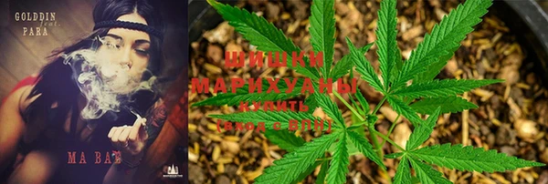 кокаин Богданович